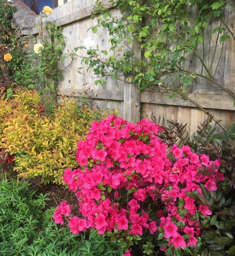 Stoke Rivers Stoke House Bed And Breakfast מראה חיצוני תמונה