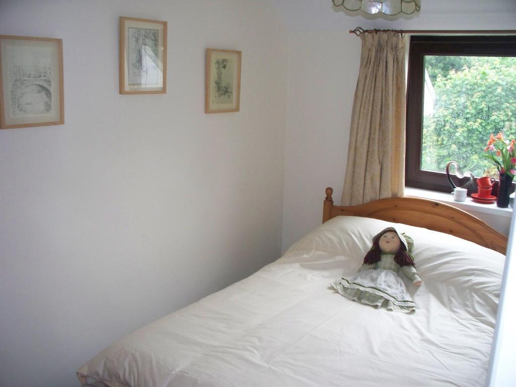 Stoke Rivers Stoke House Bed And Breakfast חדר תמונה